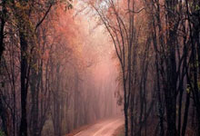 尤文图斯逆转制胜热那夜，晋级决赛获胜