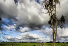 曼城主场告捷，继续逼近榜首的位置