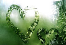 意甲强队士气大振，备战信心十足