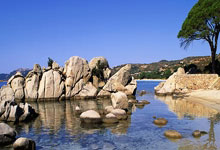 意大利运动员意外失误，遭淘汰