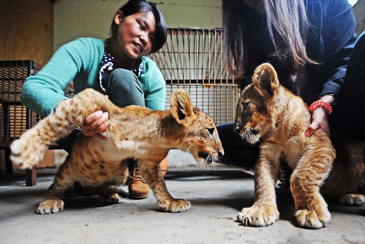 热门球队遭遇意外失败,意外之喜令人震惊 热门球队遭遇意外失败,意外之喜令人震惊