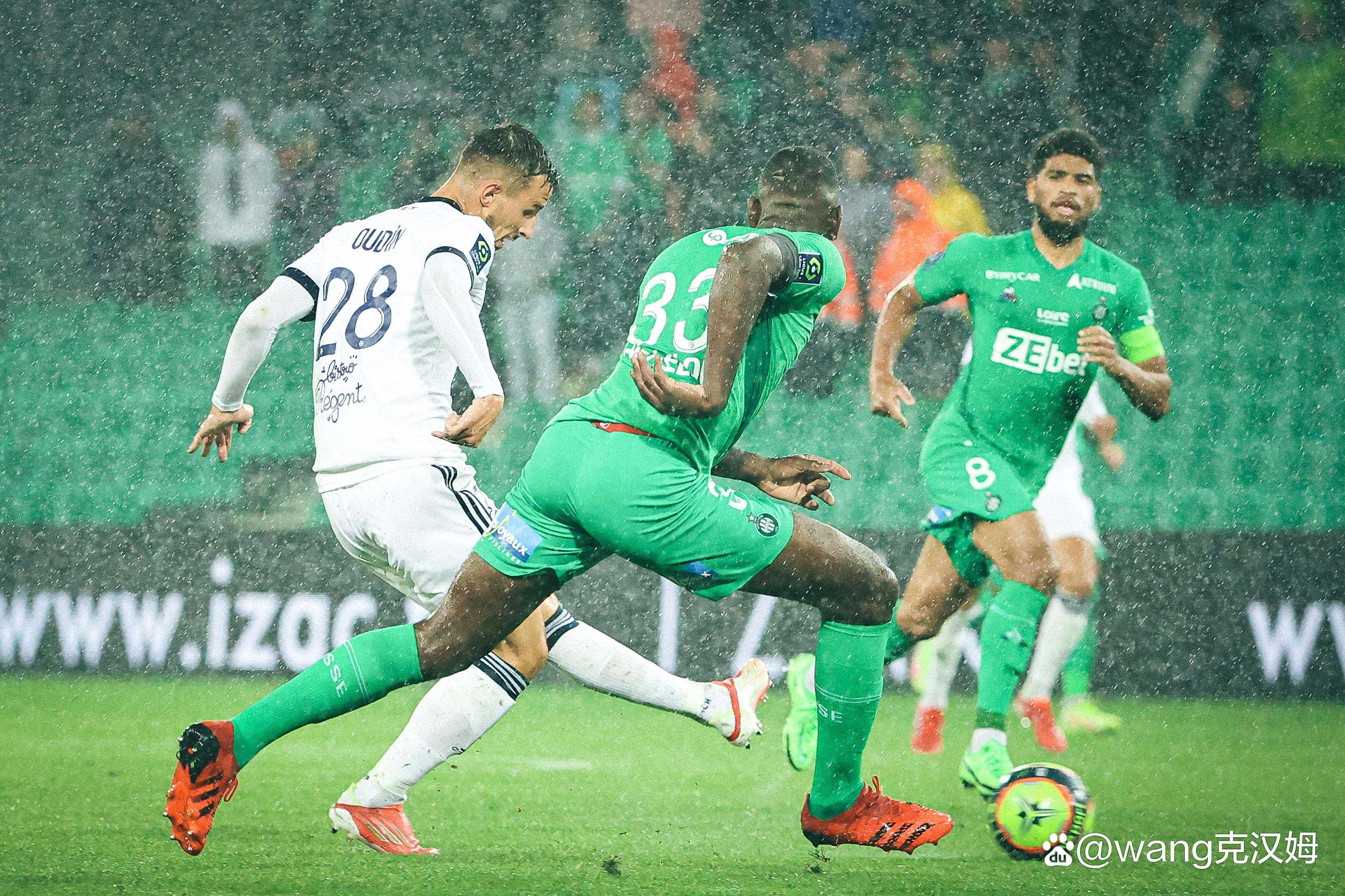 维罗纳主场兵败对手，保级形势岌岌可危的简单介绍