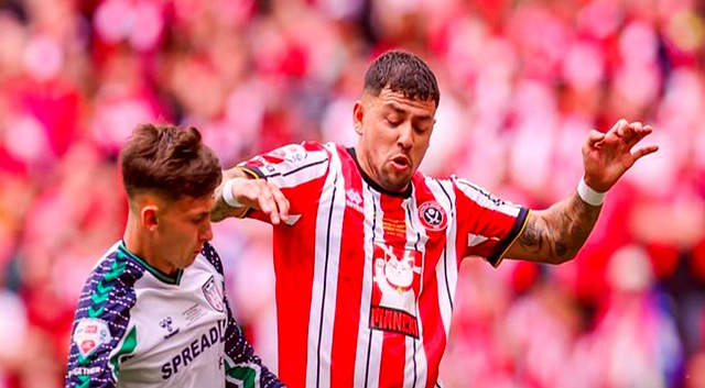 包含谢菲联主场-小胜桑德兰，继续保持不败的词条