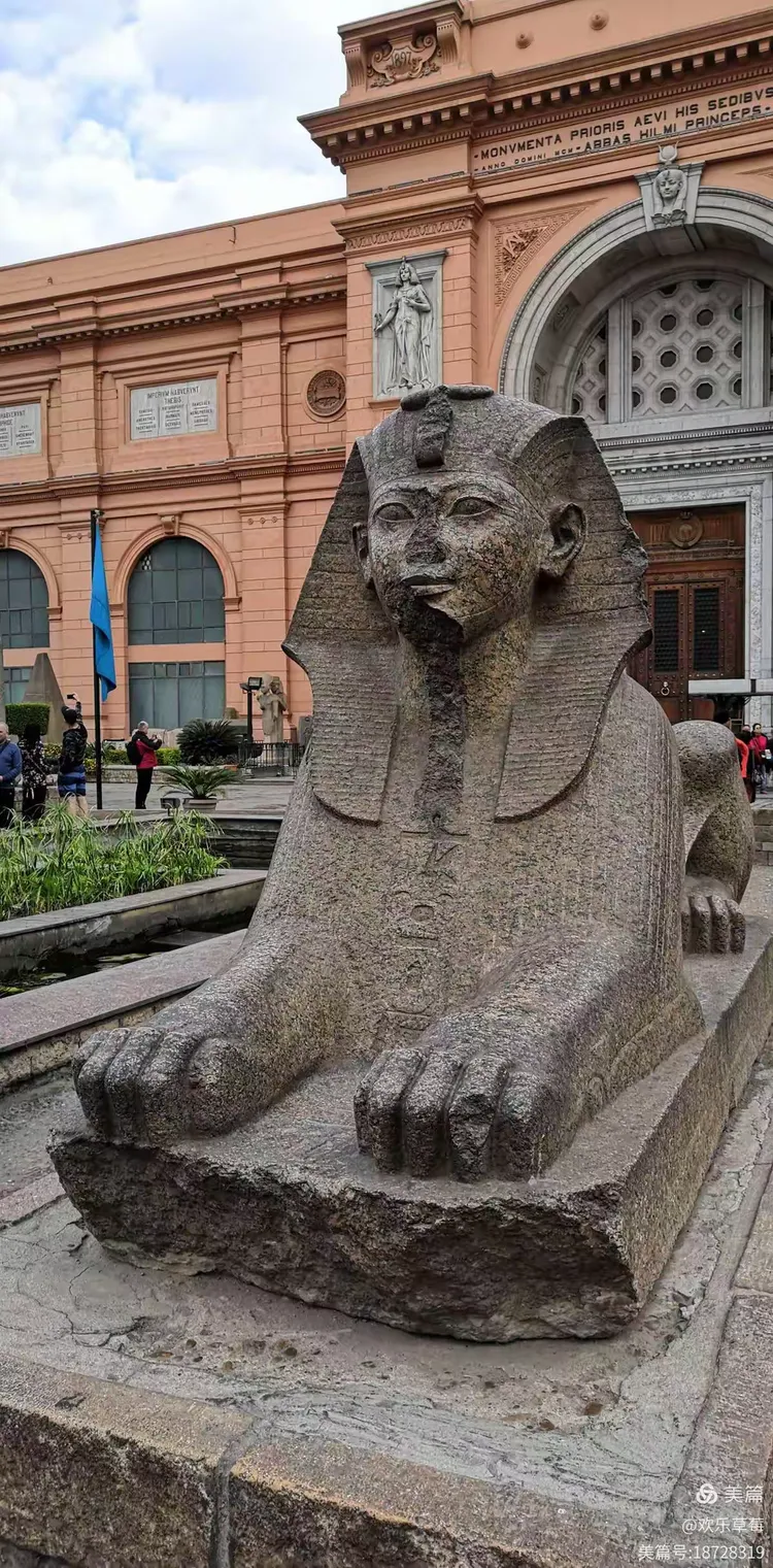 埃及游泳选手势如破竹,一路领先的简单介绍 埃及游泳选手势如破竹,一路领先的简单介绍