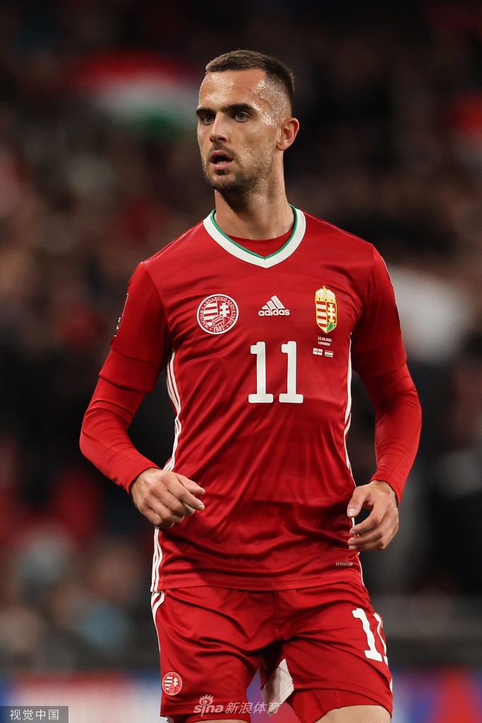 关于匈牙利战平闷平晋级，引人瞩目的信息